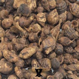 Gowe gueni Koumba le kilo